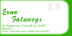 erno faluvegi business card